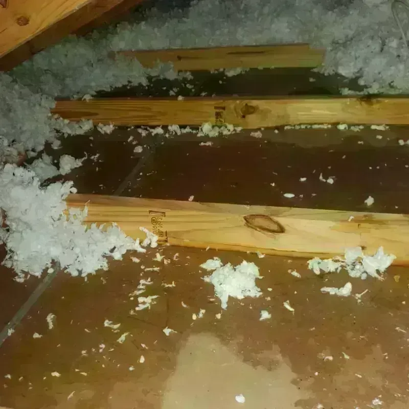 Attic Water Damage in Freeland, MI