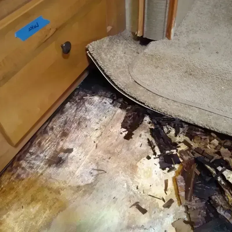 Wood Floor Water Damage in Freeland, MI